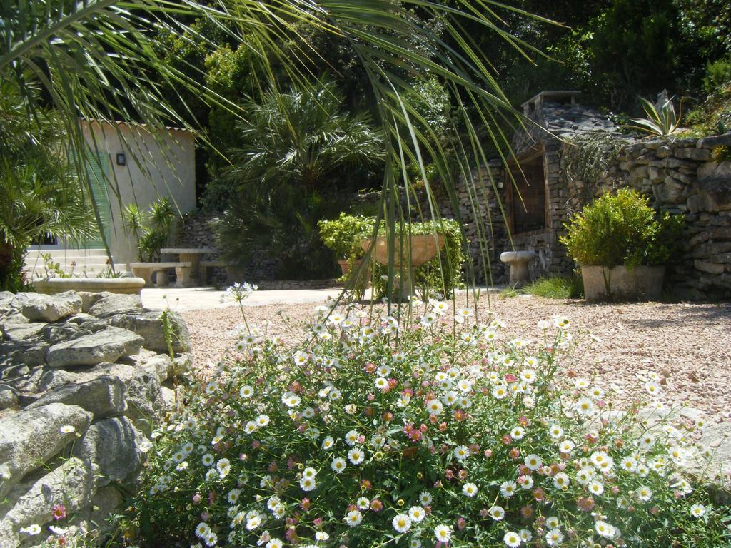 Gite Acellu Bonifacio  Room photo